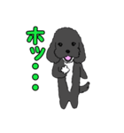 喋るMIX犬「サスケ」（個別スタンプ：7）