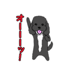喋るMIX犬「サスケ」（個別スタンプ：8）