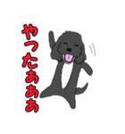 喋るMIX犬「サスケ」（個別スタンプ：9）