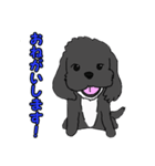 喋るMIX犬「サスケ」（個別スタンプ：10）