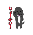 喋るMIX犬「サスケ」（個別スタンプ：11）