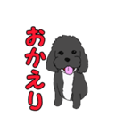 喋るMIX犬「サスケ」（個別スタンプ：14）