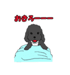 喋るMIX犬「サスケ」（個別スタンプ：16）