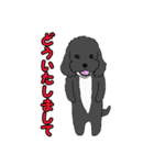 喋るMIX犬「サスケ」（個別スタンプ：17）