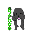 喋るMIX犬「サスケ」（個別スタンプ：18）