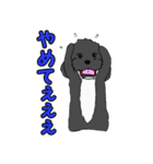 喋るMIX犬「サスケ」（個別スタンプ：20）