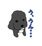 喋るMIX犬「サスケ」（個別スタンプ：22）