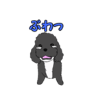 喋るMIX犬「サスケ」（個別スタンプ：23）