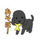 喋るMIX犬「サスケ」（個別スタンプ：24）