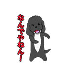 喋るMIX犬「サスケ」（個別スタンプ：27）