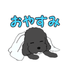 喋るMIX犬「サスケ」（個別スタンプ：29）