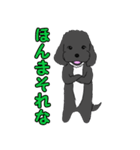 喋るMIX犬「サスケ」（個別スタンプ：30）
