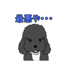 喋るMIX犬「サスケ」（個別スタンプ：31）
