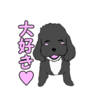 喋るMIX犬「サスケ」（個別スタンプ：32）