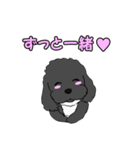 喋るMIX犬「サスケ」（個別スタンプ：33）
