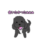 喋るMIX犬「サスケ」（個別スタンプ：34）