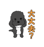 喋るMIX犬「サスケ」（個別スタンプ：39）