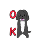 喋るMIX犬「サスケ」（個別スタンプ：40）