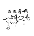 ウルサイ猫、第三弾！遲！！！（個別スタンプ：19）
