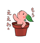 勝手に♪うさ苗（個別スタンプ：4）