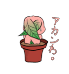 勝手に♪うさ苗（個別スタンプ：10）