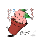 勝手に♪うさ苗（個別スタンプ：30）