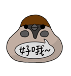 Talking Sparrow（個別スタンプ：1）