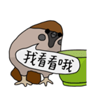 Talking Sparrow（個別スタンプ：2）