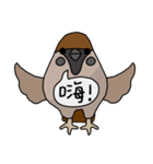 Talking Sparrow（個別スタンプ：3）