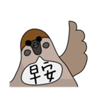 Talking Sparrow（個別スタンプ：4）