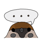 Talking Sparrow（個別スタンプ：6）