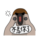 Talking Sparrow（個別スタンプ：23）