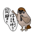 Talking Sparrow（個別スタンプ：28）