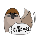 Talking Sparrow（個別スタンプ：29）