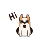 Playful Chihuahua（個別スタンプ：1）
