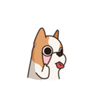 Playful Chihuahua（個別スタンプ：2）