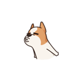 Playful Chihuahua（個別スタンプ：3）