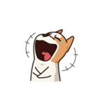 Playful Chihuahua（個別スタンプ：4）