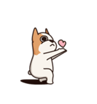 Playful Chihuahua（個別スタンプ：6）