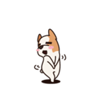 Playful Chihuahua（個別スタンプ：7）