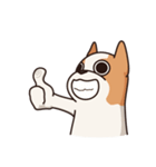 Playful Chihuahua（個別スタンプ：8）