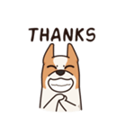 Playful Chihuahua（個別スタンプ：9）