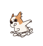 Playful Chihuahua（個別スタンプ：10）