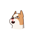 Playful Chihuahua（個別スタンプ：14）