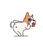Playful Chihuahua（個別スタンプ：17）