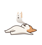 Playful Chihuahua（個別スタンプ：19）