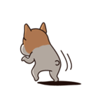 Playful Chihuahua（個別スタンプ：21）