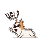 Playful Chihuahua（個別スタンプ：22）