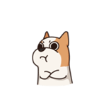 Playful Chihuahua（個別スタンプ：23）