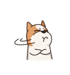 Playful Chihuahua（個別スタンプ：24）